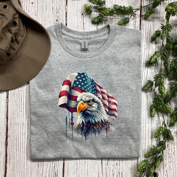 US Flag & Eagle - Image 3